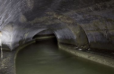 茂名茂港区通下水道运营的电话多少