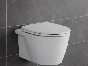 茂名茂港区马桶疏通